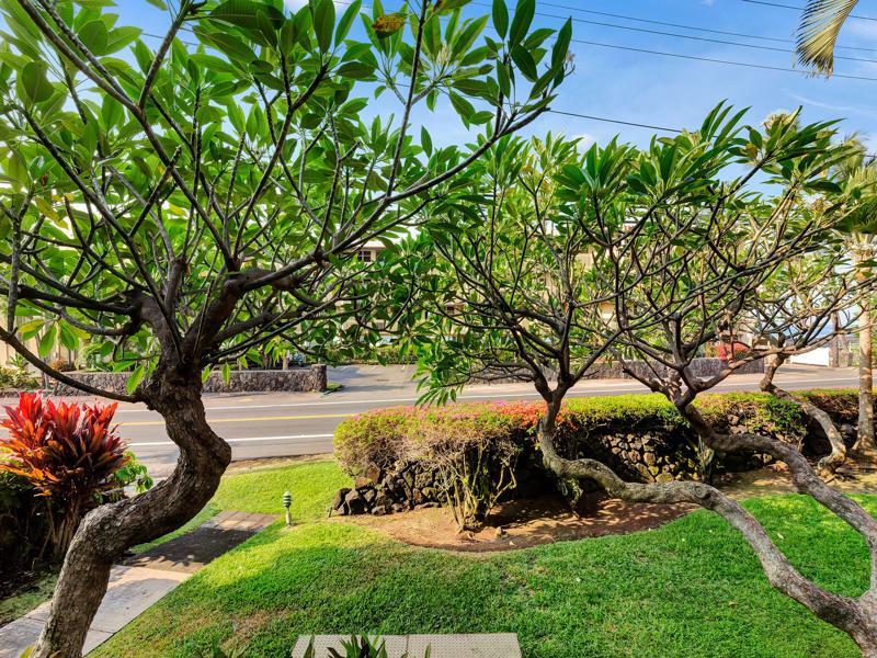 Castle Kona Bali Kai A Condominium Resort Holualoa Exterior photo